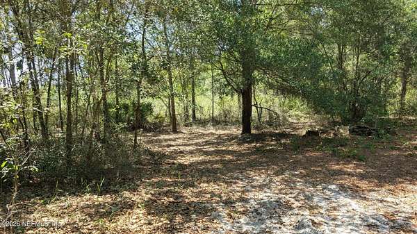 1 Acre of Residential Land for Sale in Keystone Heights, Florida