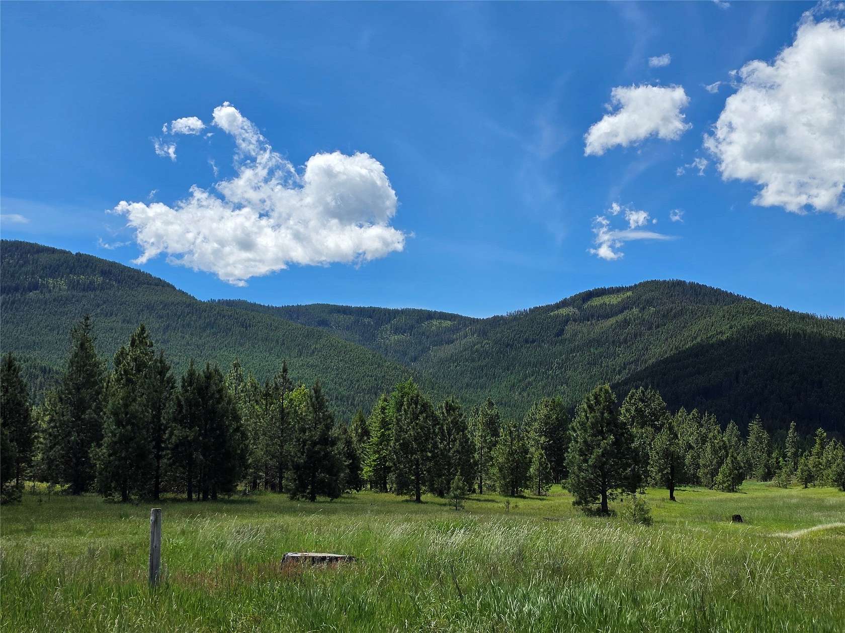 20 Acres of Land for Sale in Trout Creek, Montana