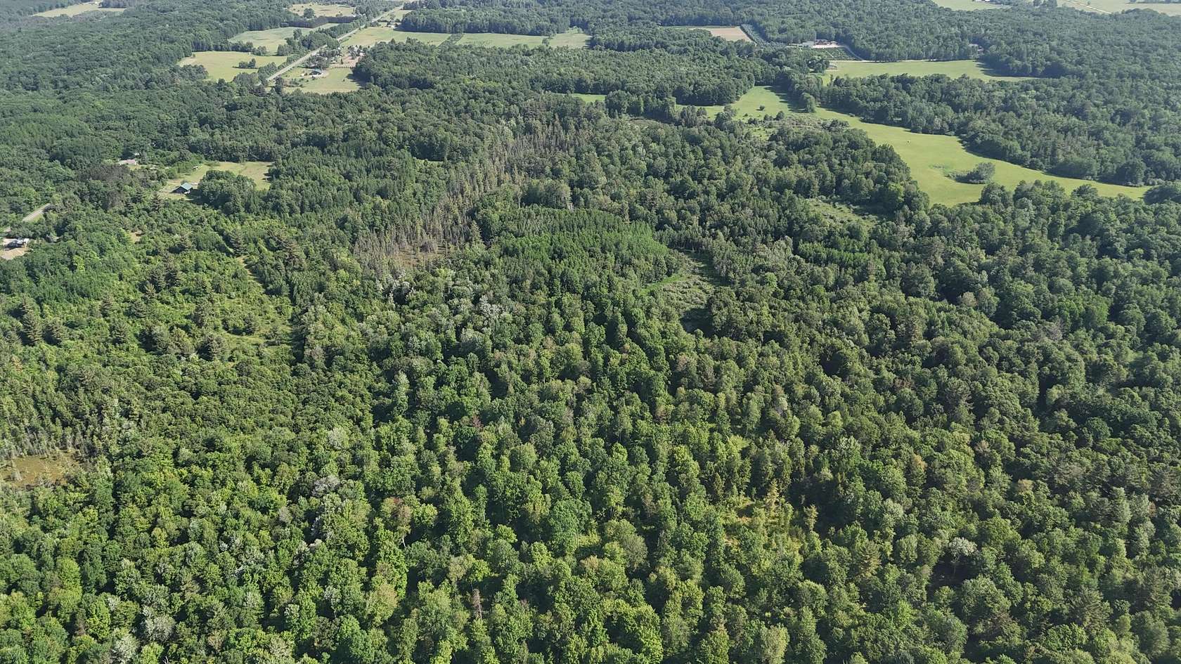 10 Acres of Recreational & Residential Land for Sale in Brethren, Michigan