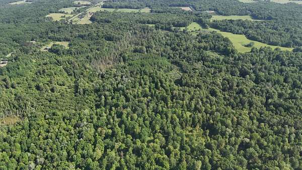10 Acres of Recreational & Residential Land for Sale in Brethren, Michigan