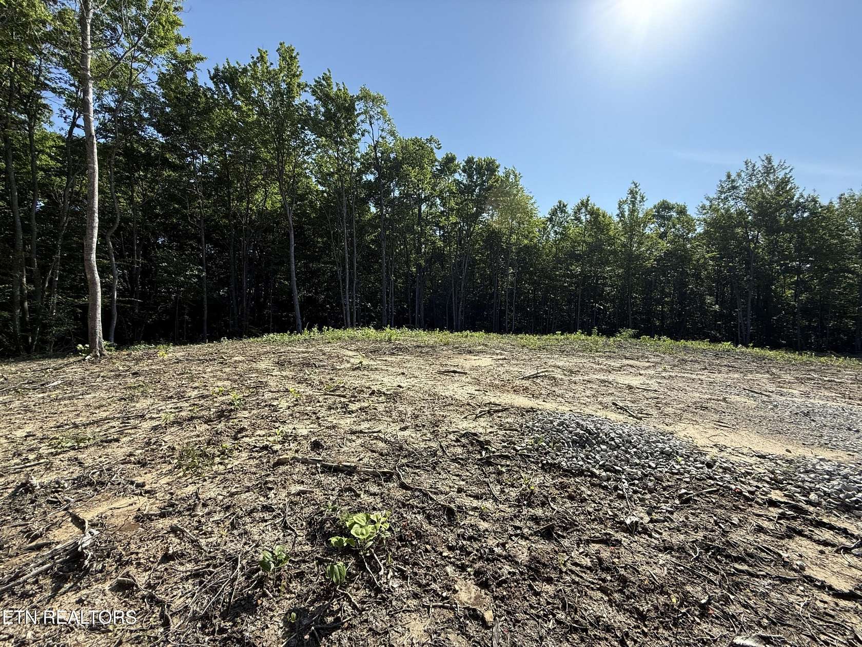 18.7 Acres of Land for Sale in Sunbright, Tennessee