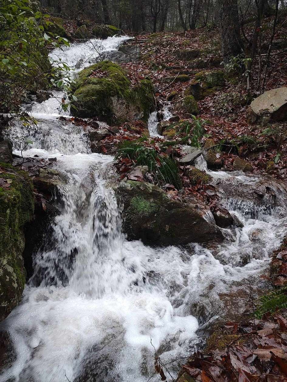 38 Acres of Recreational & Residential Land for Sale in Rockwood, Tennessee