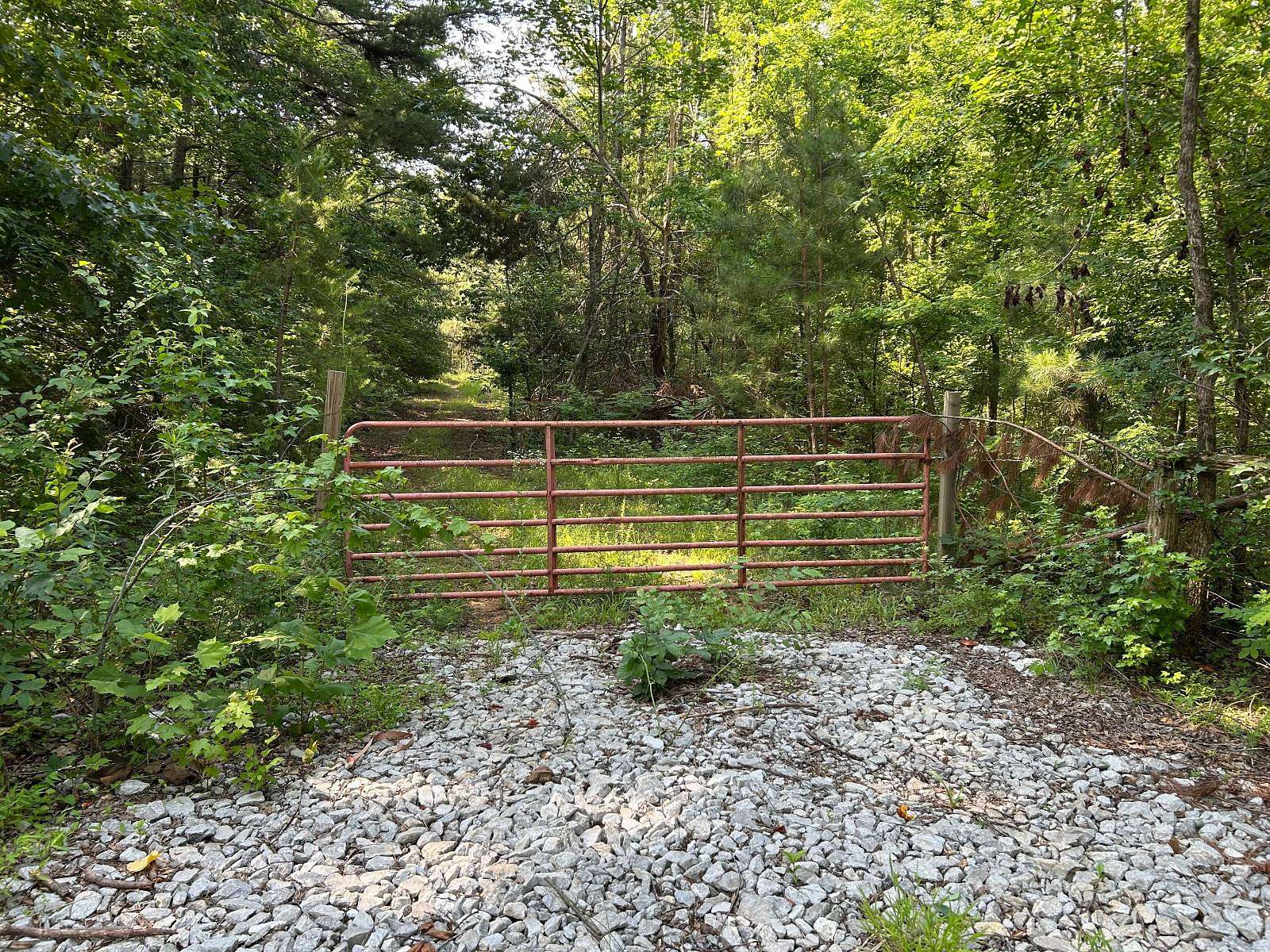 7.78 Acres of Residential Land for Sale in Blue Springs, Mississippi