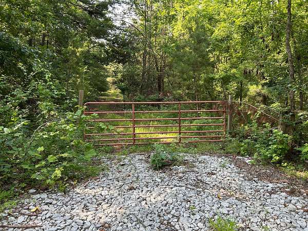 7.78 Acres of Residential Land for Sale in Blue Springs, Mississippi