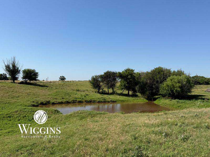 161 Acres of Land for Auction in Helena, Oklahoma
