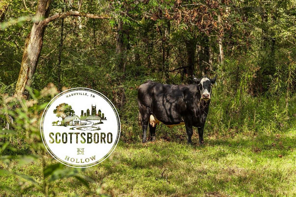 225 Acres of Land for Sale in Nashville, Tennessee