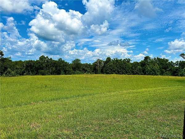 10 Acres of Residential Land for Sale in Brooksville, Florida