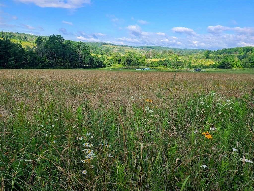 153 Acres of Land for Sale in Corning, New York