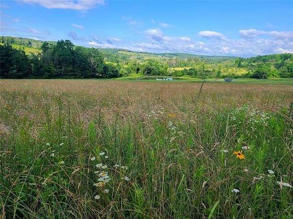 153 Acres of Land for Sale in Corning, New York