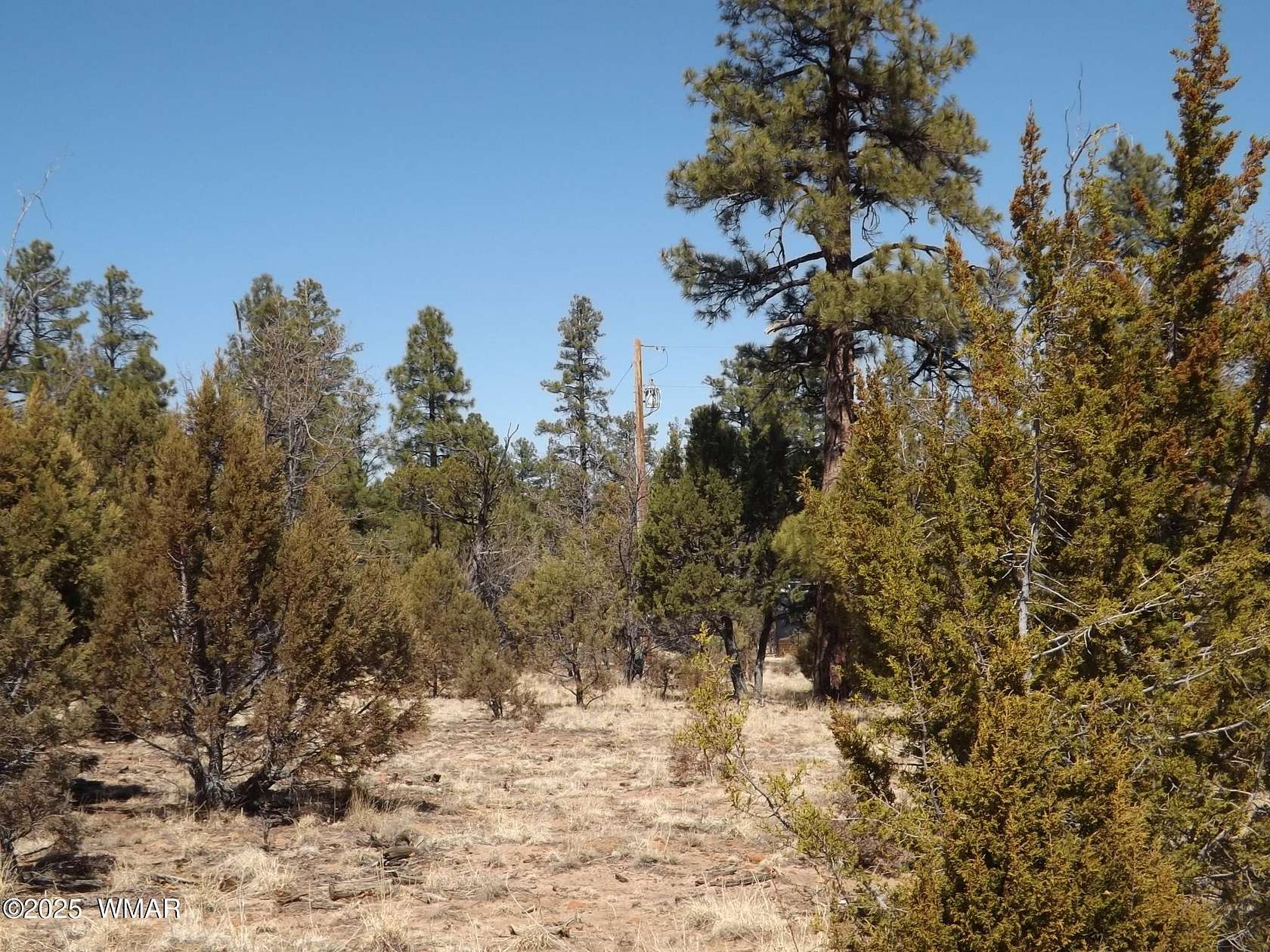 2.5 Acres of Residential Land for Sale in Overgaard, Arizona