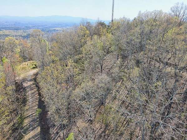 1.85 Acres of Residential Land for Sale in Mineral Bluff, Georgia
