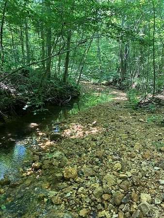 5 Acres of Land for Sale in Fredericktown, Missouri