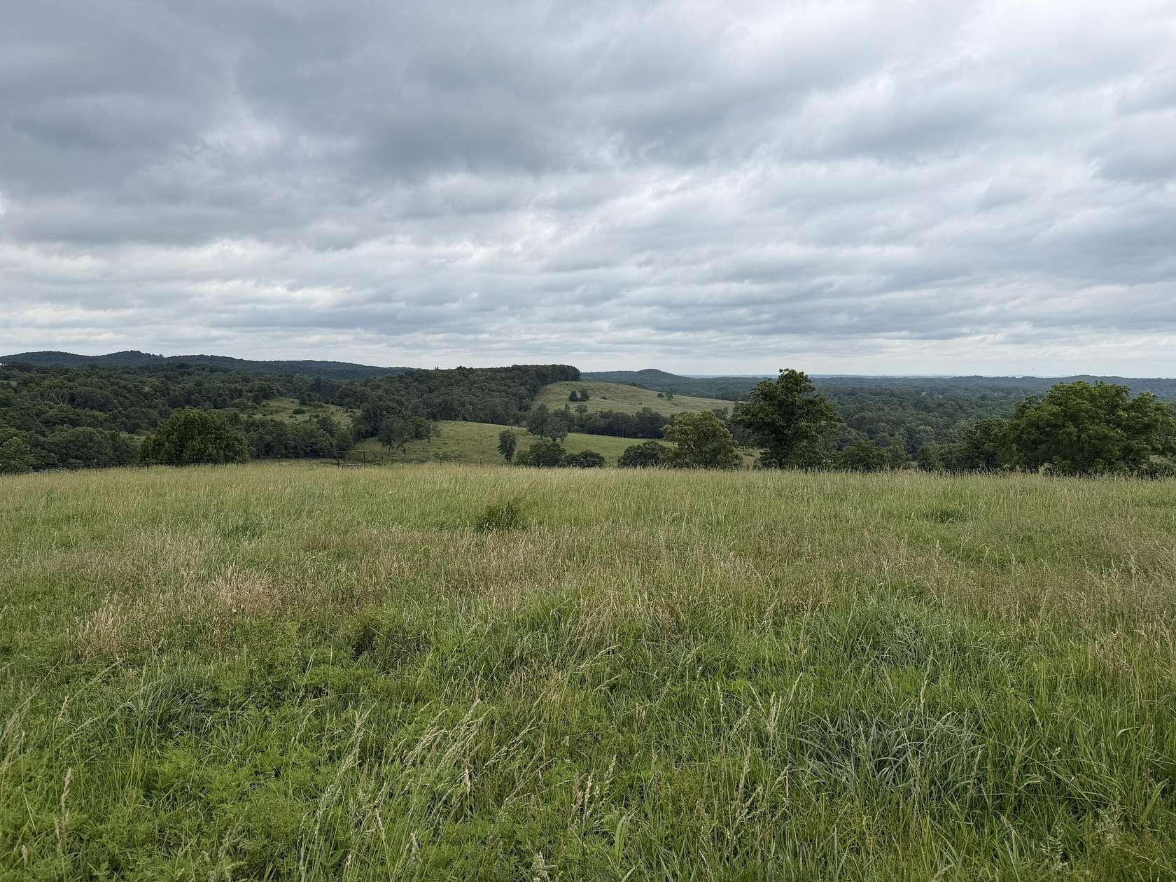 295 Acres of Agricultural Land for Sale in Squires, Missouri