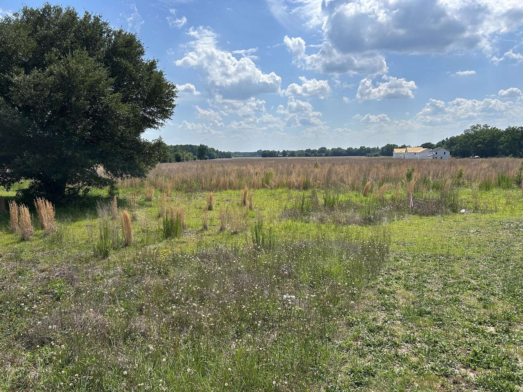 7 Acres of Agricultural Land for Sale in Sumter, South Carolina