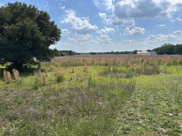 7 Acres of Agricultural Land for Sale in Sumter, South Carolina