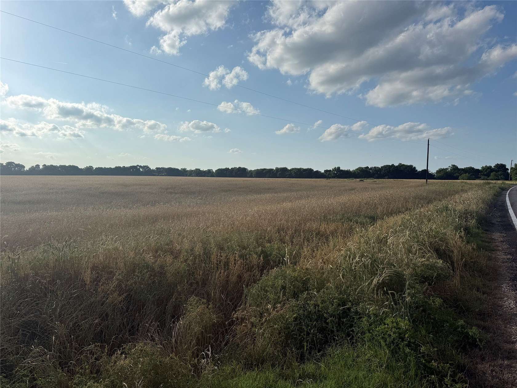 253 Acres of Land for Sale in Bonham, Texas