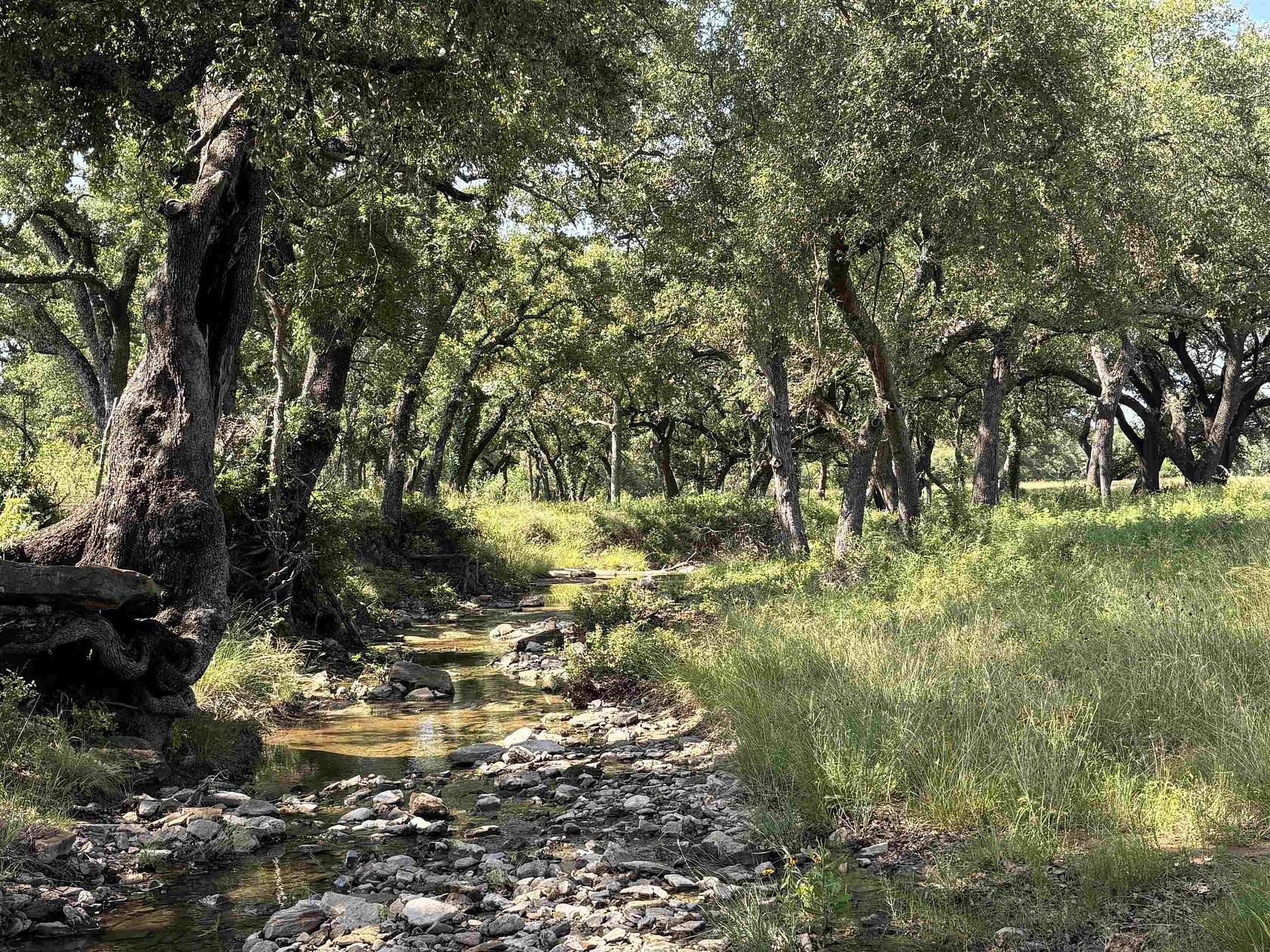 400 Acres of Recreational & Residential Land for Sale in Cherokee, Texas