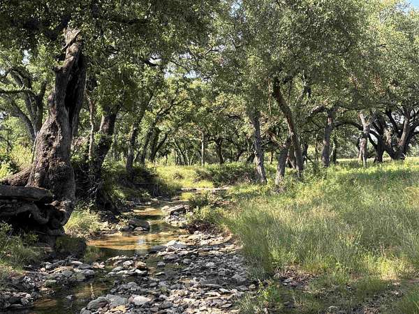 400 Acres of Recreational & Residential Land for Sale in Cherokee, Texas