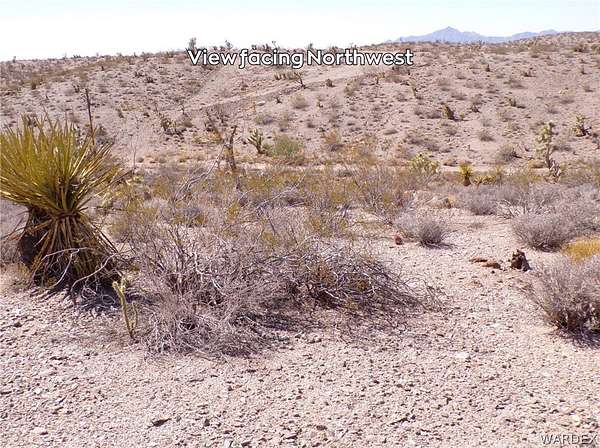 1 Acre of Residential Land for Sale in Meadview, Arizona
