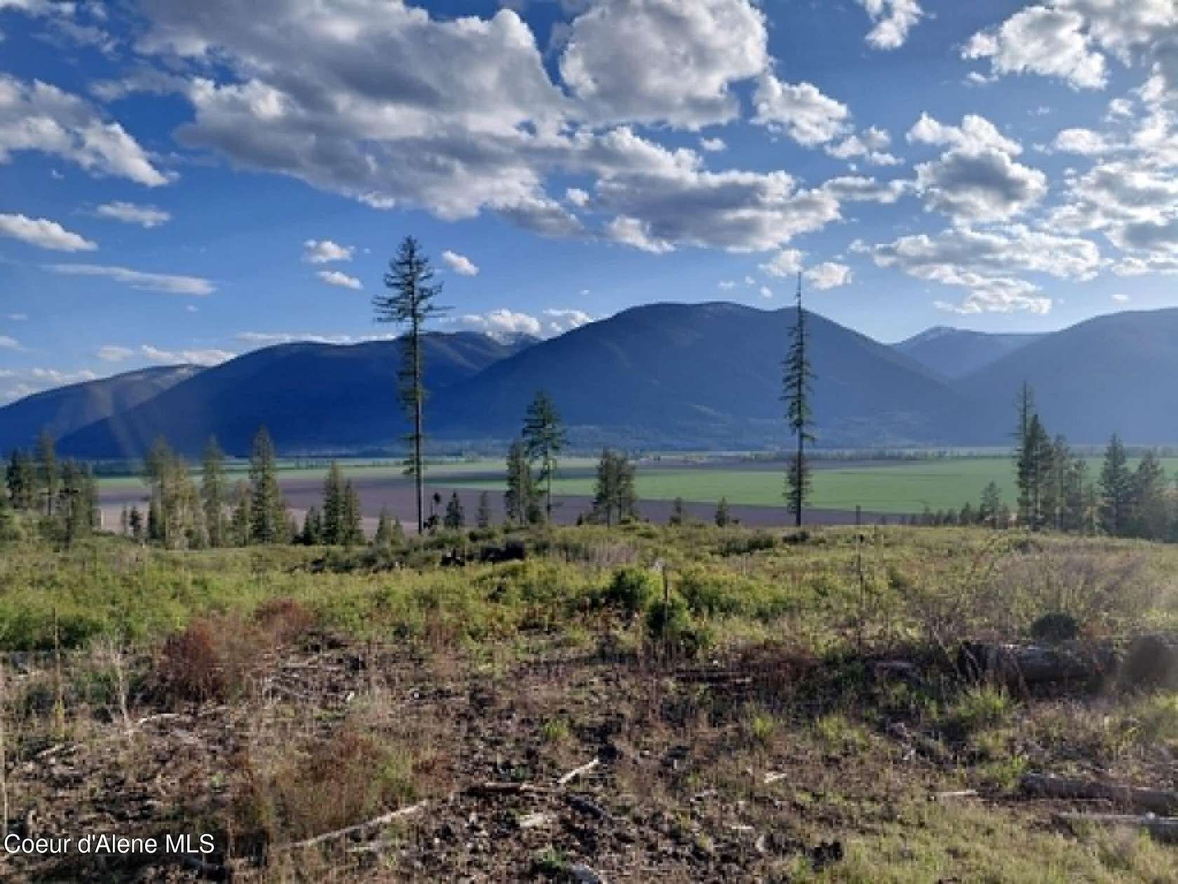 20 Acres of Land for Sale in Bonners Ferry, Idaho