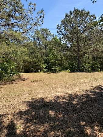 5 Acres of Land for Sale in Abbeville, Alabama