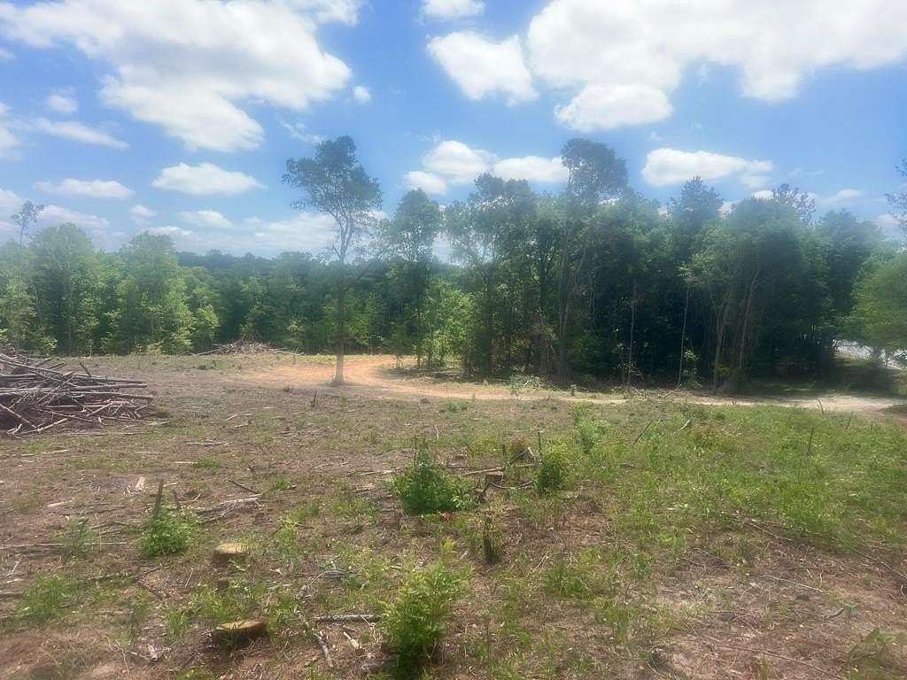 80.3 Acres of Recreational Land for Sale in Attapulgus, Georgia