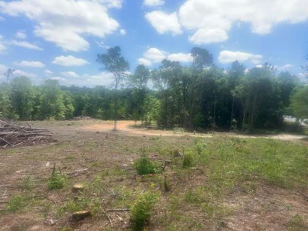 80.3 Acres of Recreational Land for Sale in Attapulgus, Georgia