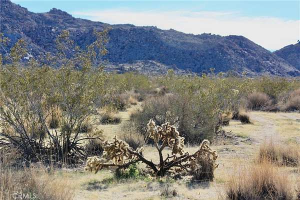 10 Acres of Land for Sale in Joshua Tree, California