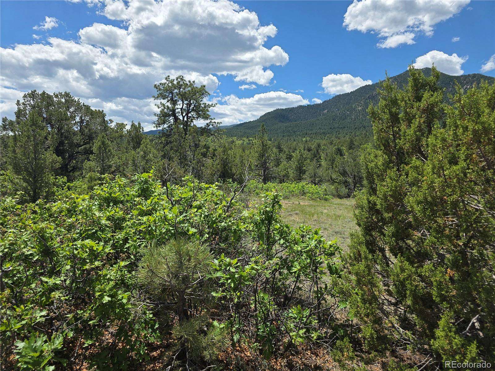 580 Acres of Recreational & Residential Land for Sale in Florence, Colorado