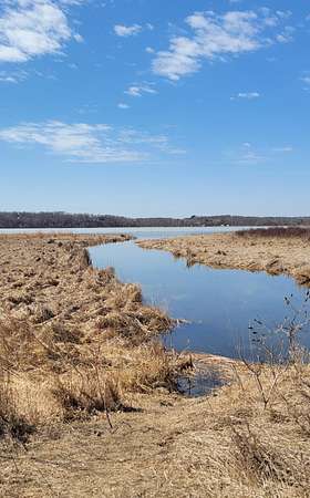 18.3 Acres of Land for Sale in Ottertail, Minnesota