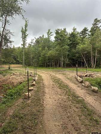 14 Acres of Land for Sale in Overton, Texas