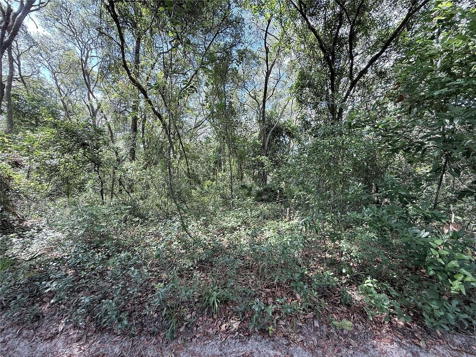 1.25 Acres of Residential Land for Sale in Dunnellon, Florida