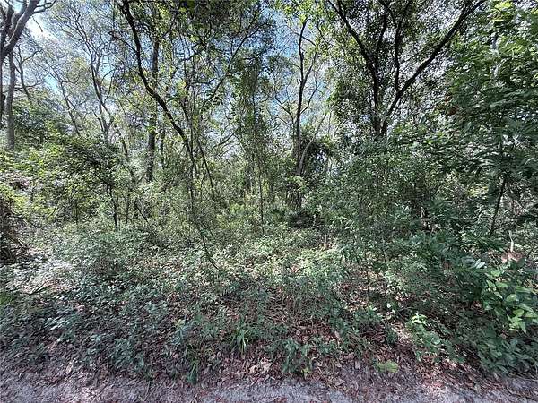 1.25 Acres of Residential Land for Sale in Dunnellon, Florida