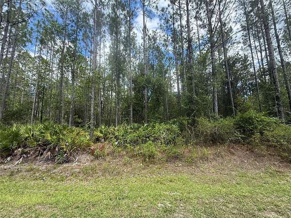 17.8 Acres of Agricultural Land for Sale in Lake Butler, Florida