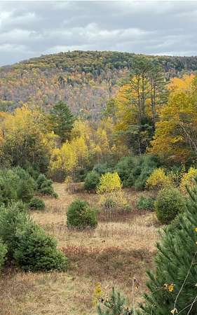 2 Acres of Residential Land for Sale in Lisbon, New Hampshire
