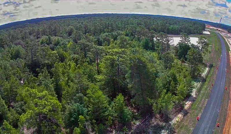 36 Acres of Land for Sale in Crystal River, Florida