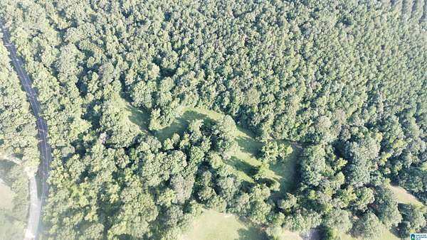 24.3 Acres of Recreational & Residential Land for Sale in Columbiana, Alabama
