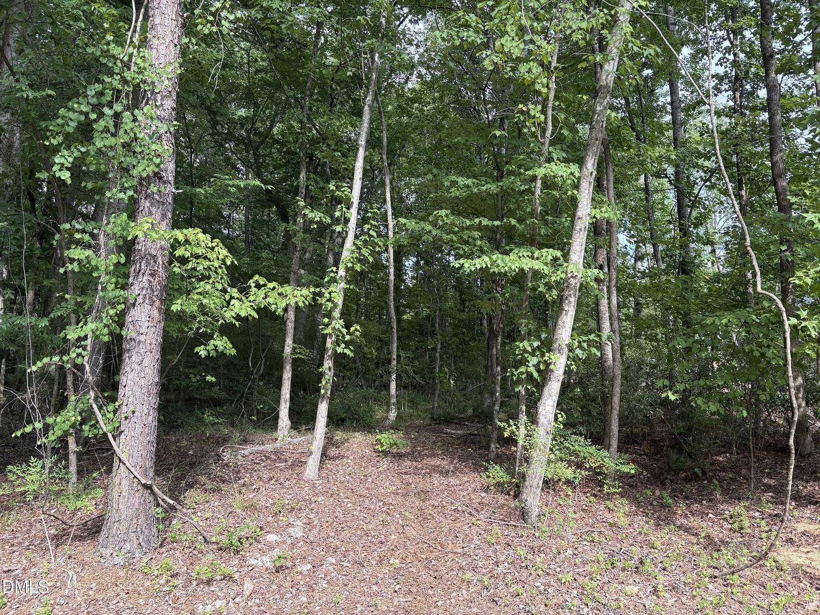 0.34 Acres of Residential Land for Sale in Louisburg, North Carolina