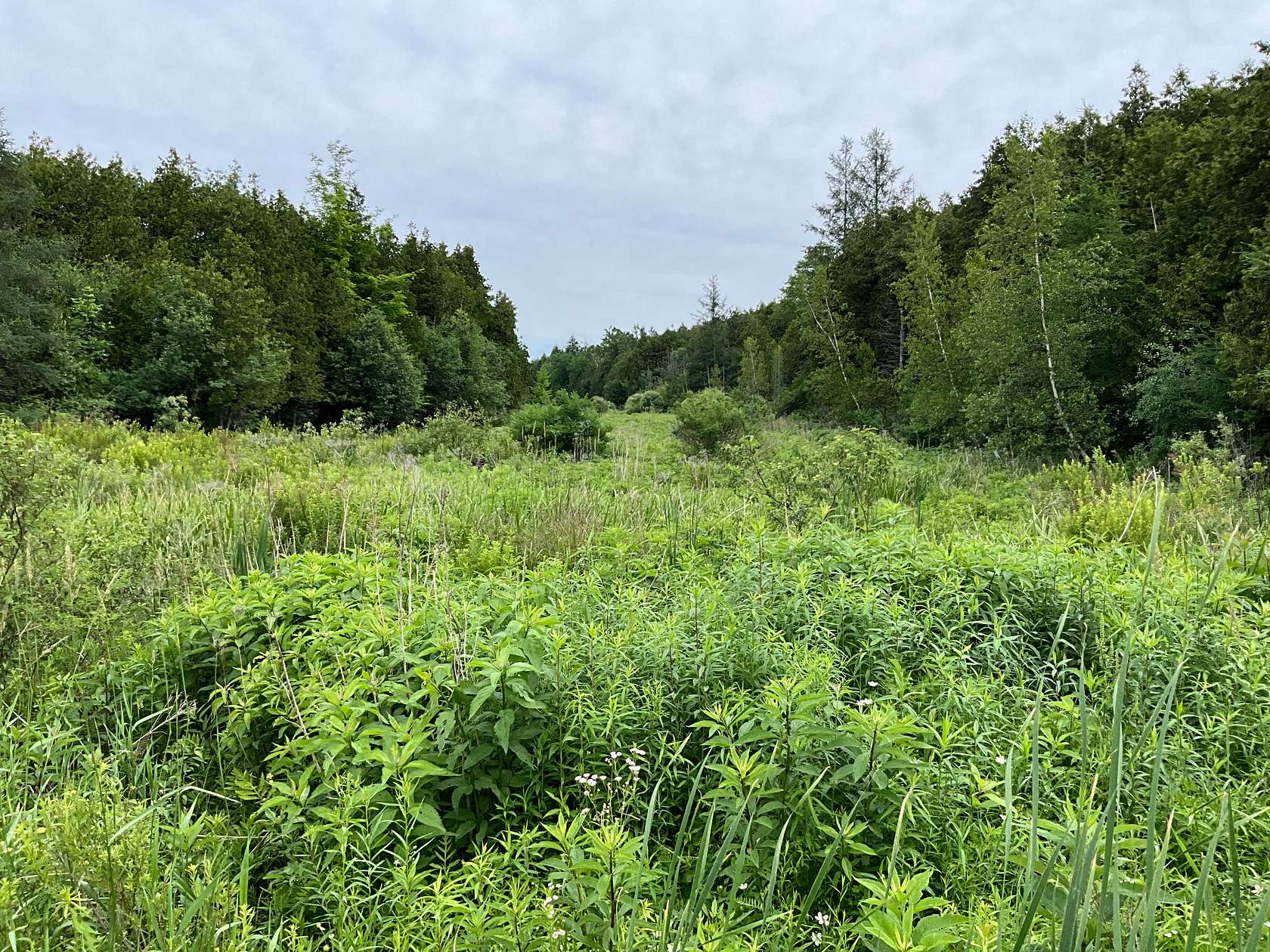 275 Acres of Land for Sale in Potsdam, New York