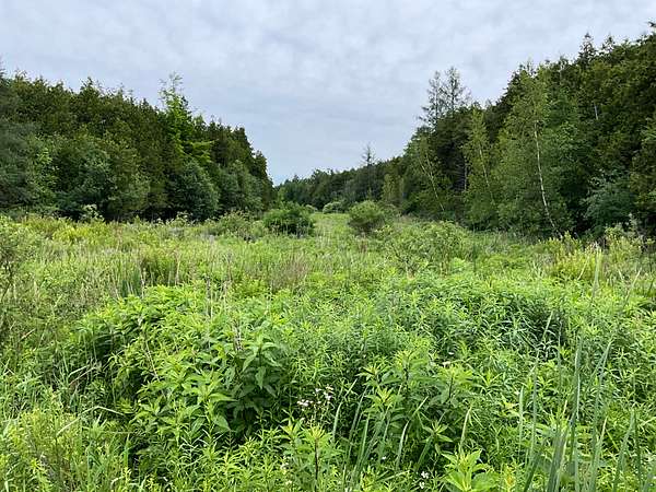 275 Acres of Land for Auction in Potsdam, New York