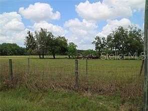 43.5 Acres of Improved Agricultural Land for Sale in Odessa, Florida