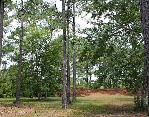 0.26 Acres of Residential Land for Sale in Ocean Isle Beach, North Carolina