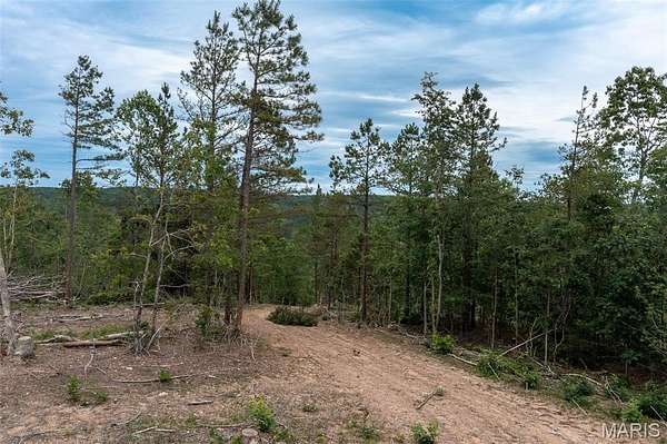 98 Acres of Land for Sale in Annapolis, Missouri