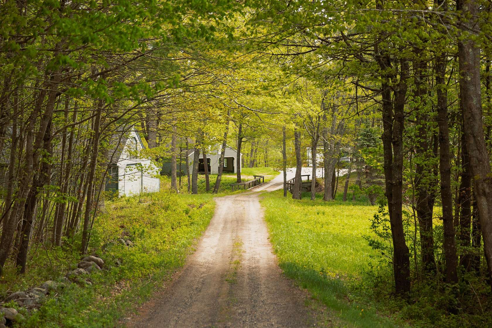 7.25 Acres of Land with Home for Sale in Phippsburg, Maine