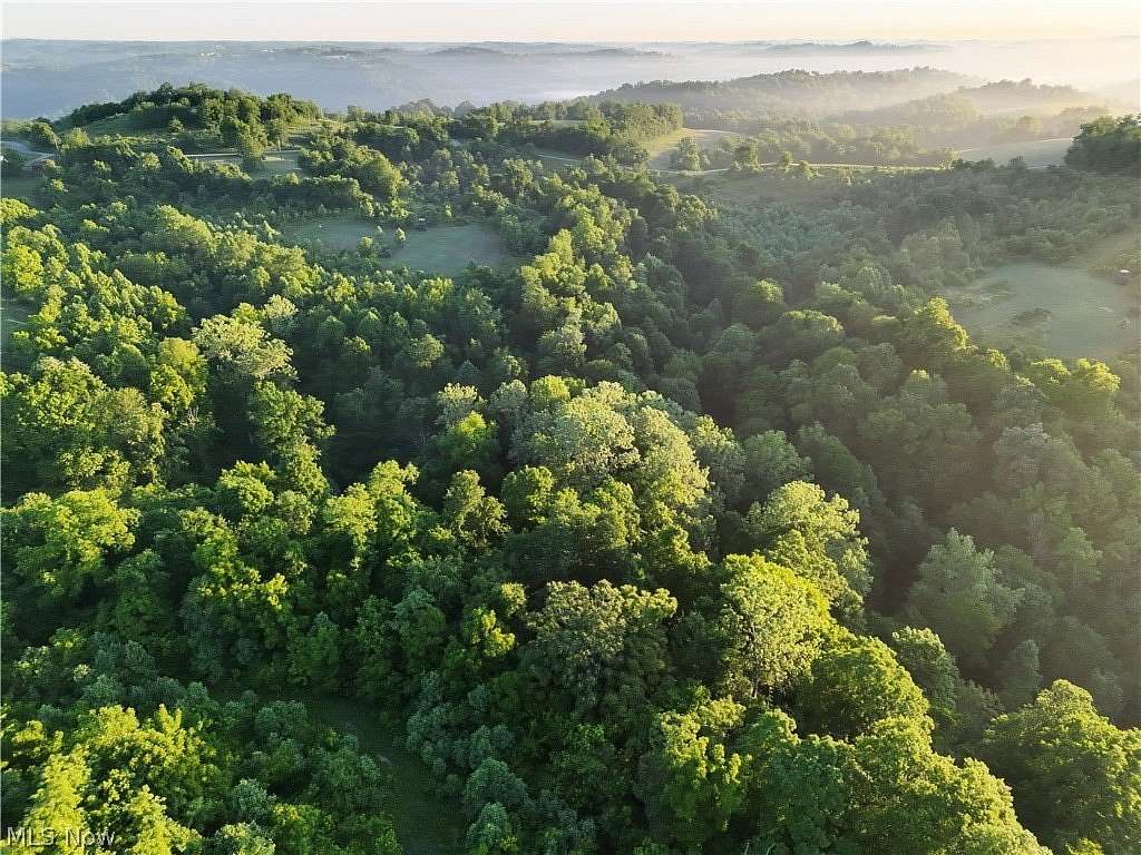 79.5 Acres of Recreational Land for Sale in Clarington, Ohio