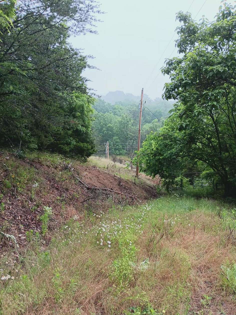 17.5 Acres of Recreational & Residential Land for Sale in Mooresburg, Tennessee