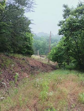 17.5 Acres of Recreational & Residential Land for Sale in Mooresburg, Tennessee