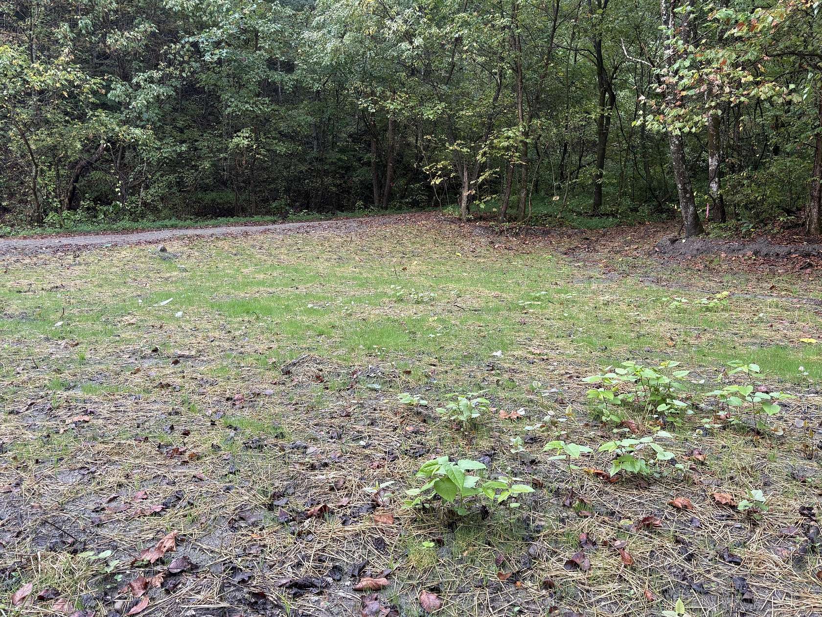 32.8 Acres of Recreational Land for Sale in Shelbiana, Kentucky