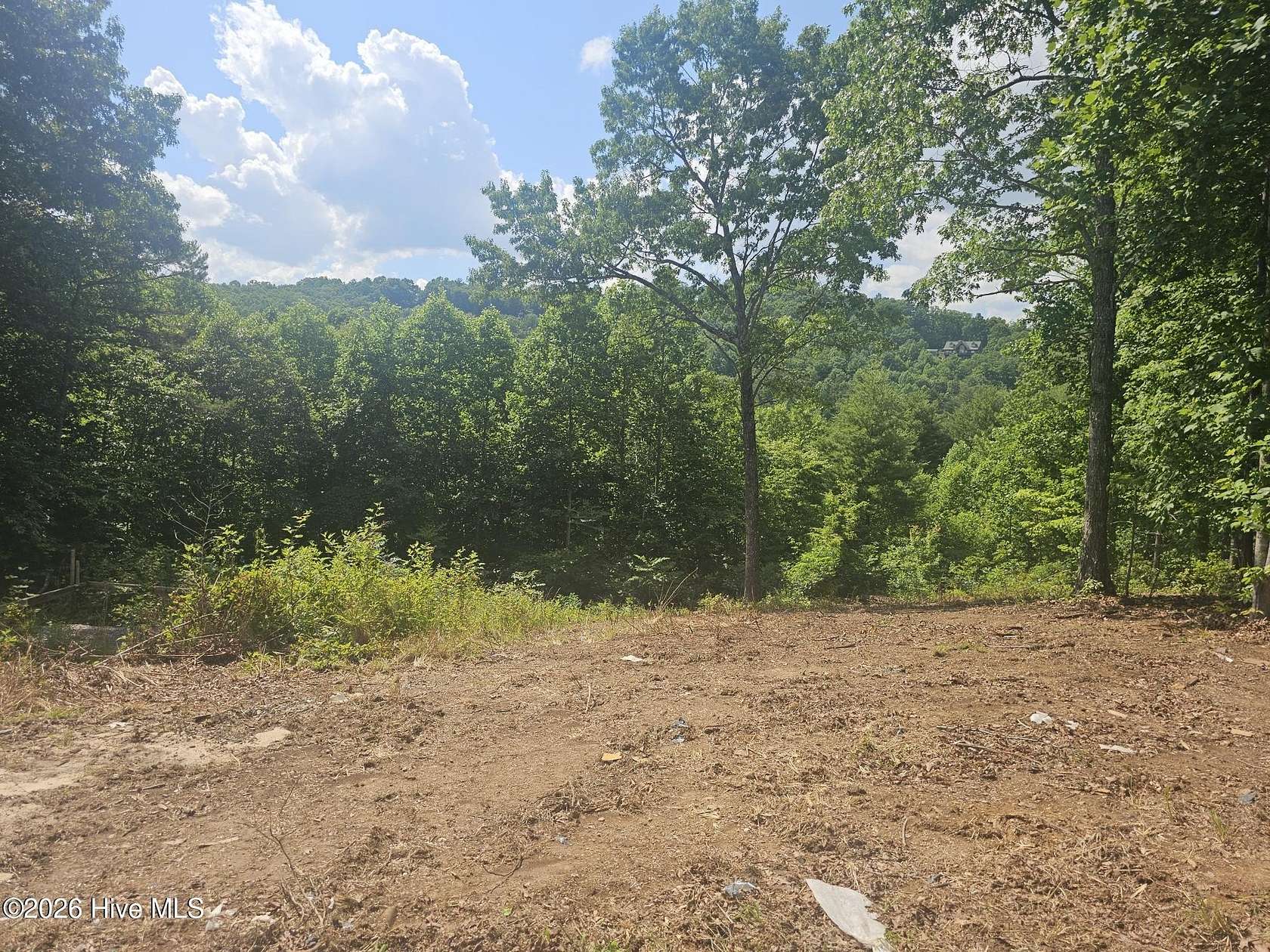 1 Acre of Residential Land for Sale in Murphy, North Carolina