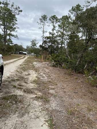 0.25 Acres of Residential Land for Sale in Fort McCoy, Florida